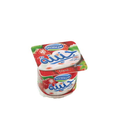 Soummam Céréalo yaourt a boire (saveur Miel) 500g