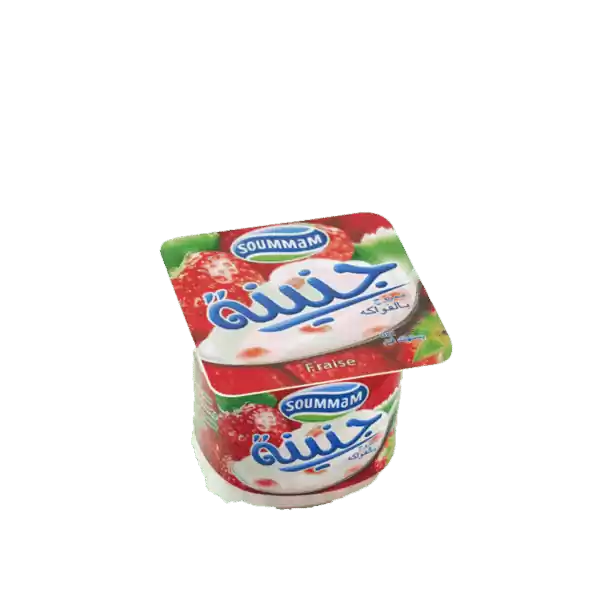 Soummam yaourt Nature 100g